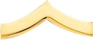 Blackinton Large Private Chevron Bar in Gol-Tone